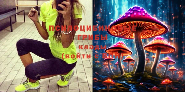 а пвп мука Коряжма