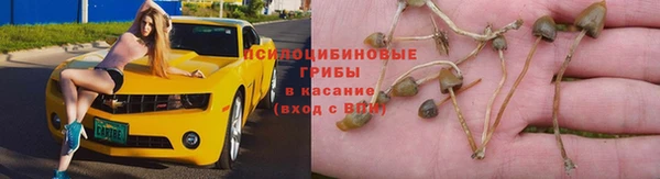 дмт Корсаков