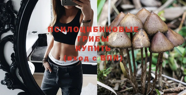 прущая мука Чита