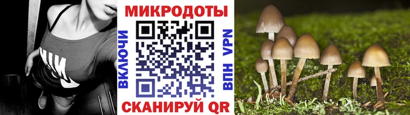 Псилоцибиновые грибы мухоморы  Купить где  Пущино